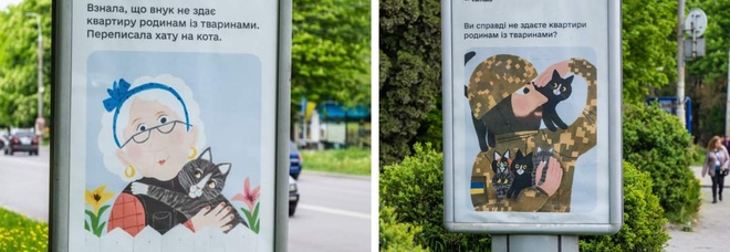 Alcuni dei cartelli comparsi nelle città ucraine (immag diffuse da UAnimals)