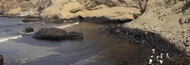 Leonardo DiCaprio mostra l'entità del disastro ambientale causato dalla fuoriuscita di petrolio in Perù