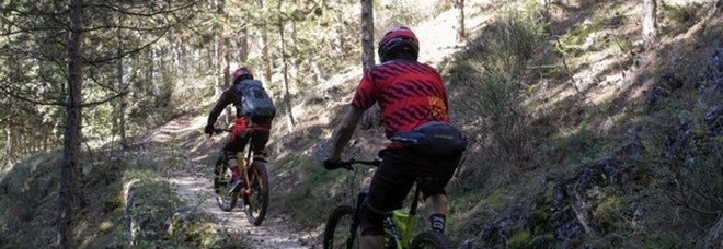 Peste suina: stop a trekking, mountain bike e raccolta funghi nelle «zona infette». Allarme in Toscana