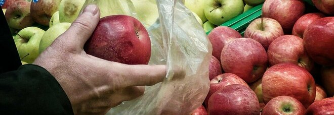 Frutta contaminata da pesticidi tossici «aumentata del 53% in nove anni» in Europa