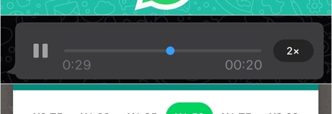 WhatsApp, finalmente si possono "velocizzare" i messaggi vocali