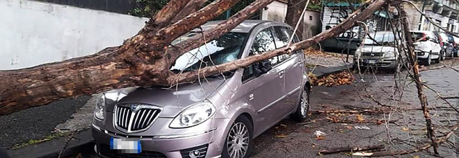 Maltempo a Napoli, città ferita dal primo vero temporale: voragini, crolli e paura