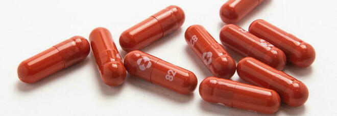 Pillola contro il Covid, Ema avvia analisi sul farmaco Merck: potrebbe essere la prima in Ue