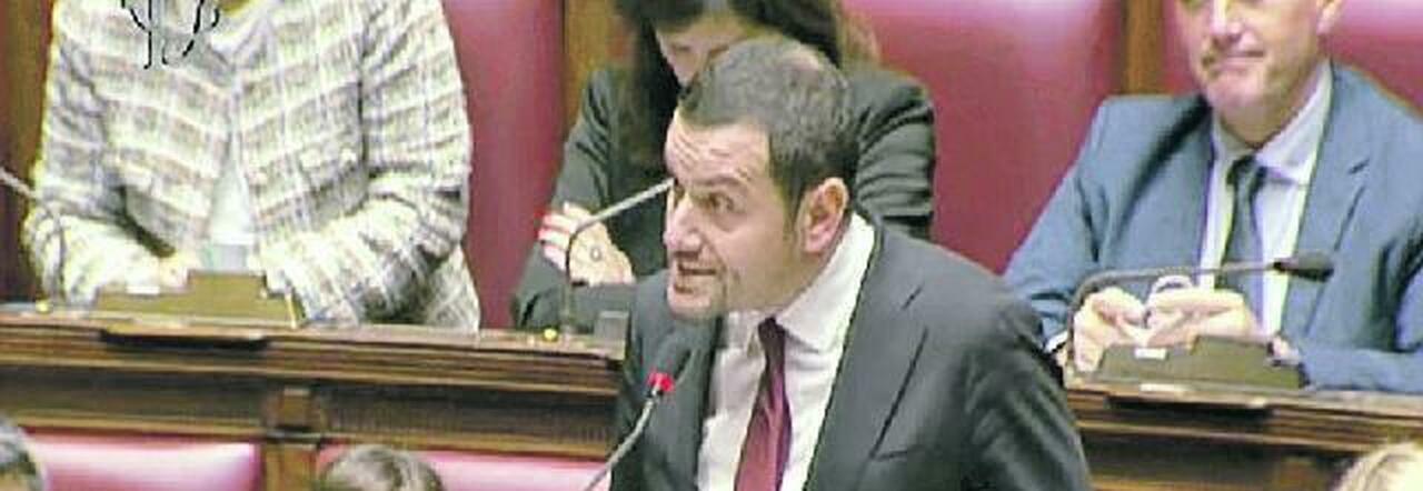 L'intervento di Ricciardi in Parlamento