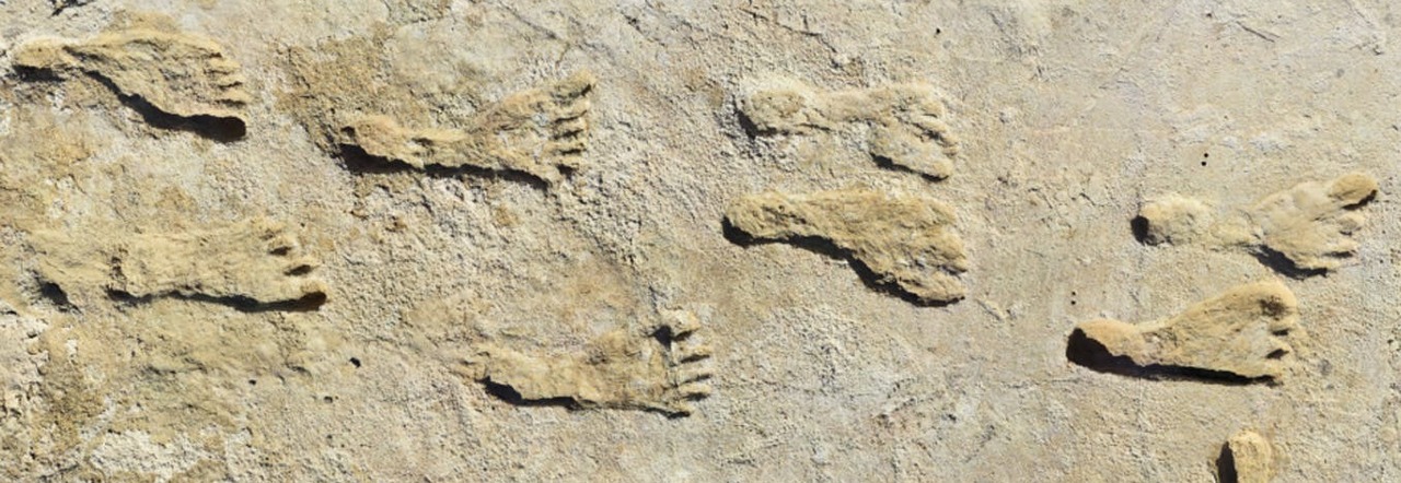 Impronte di piedi di oltre 20mila anni fa in America, la scoperta che «rivoluziona» gli studi sull'origine dell'uomo